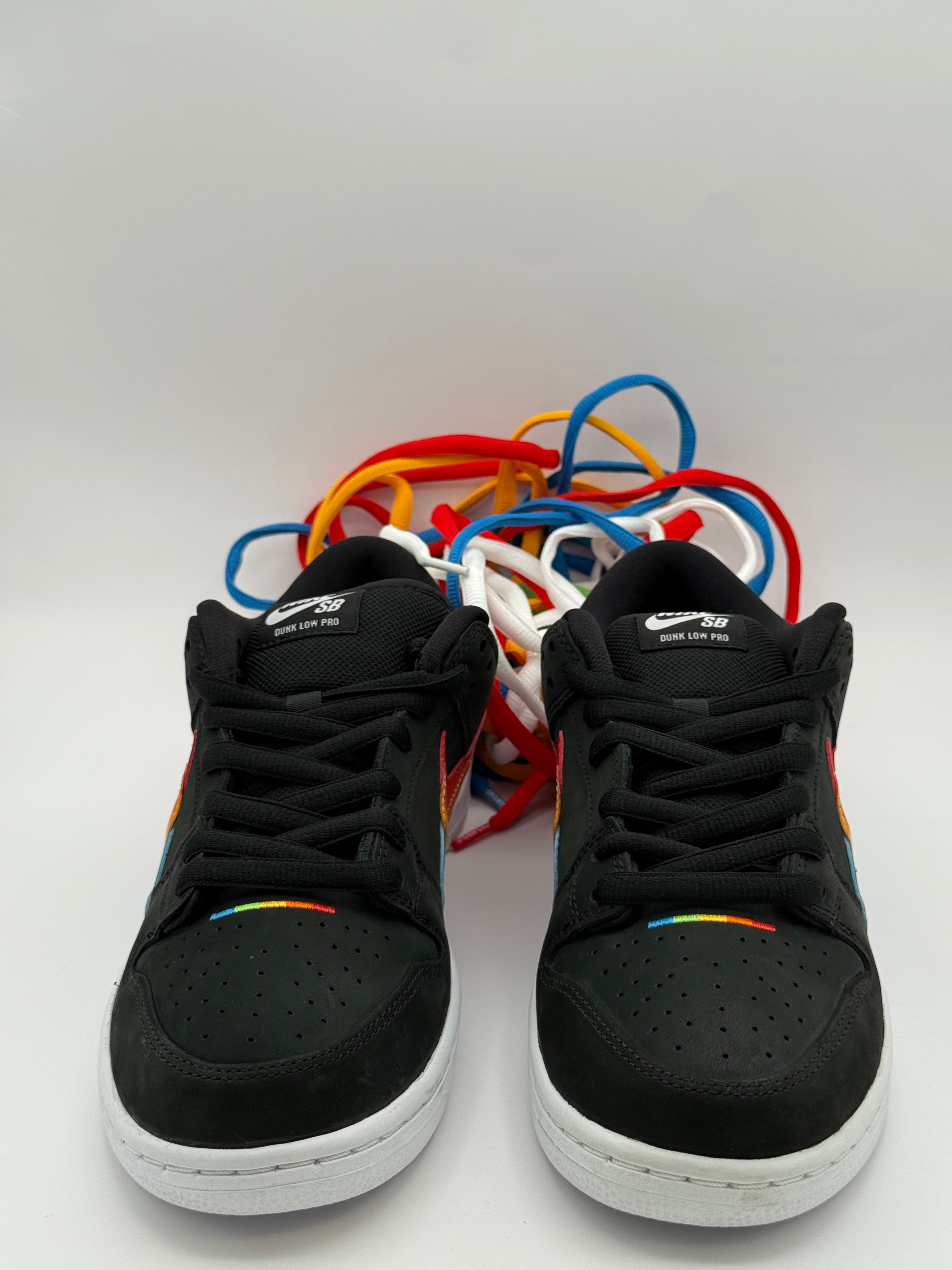 Nike SB Low "Polaroid"