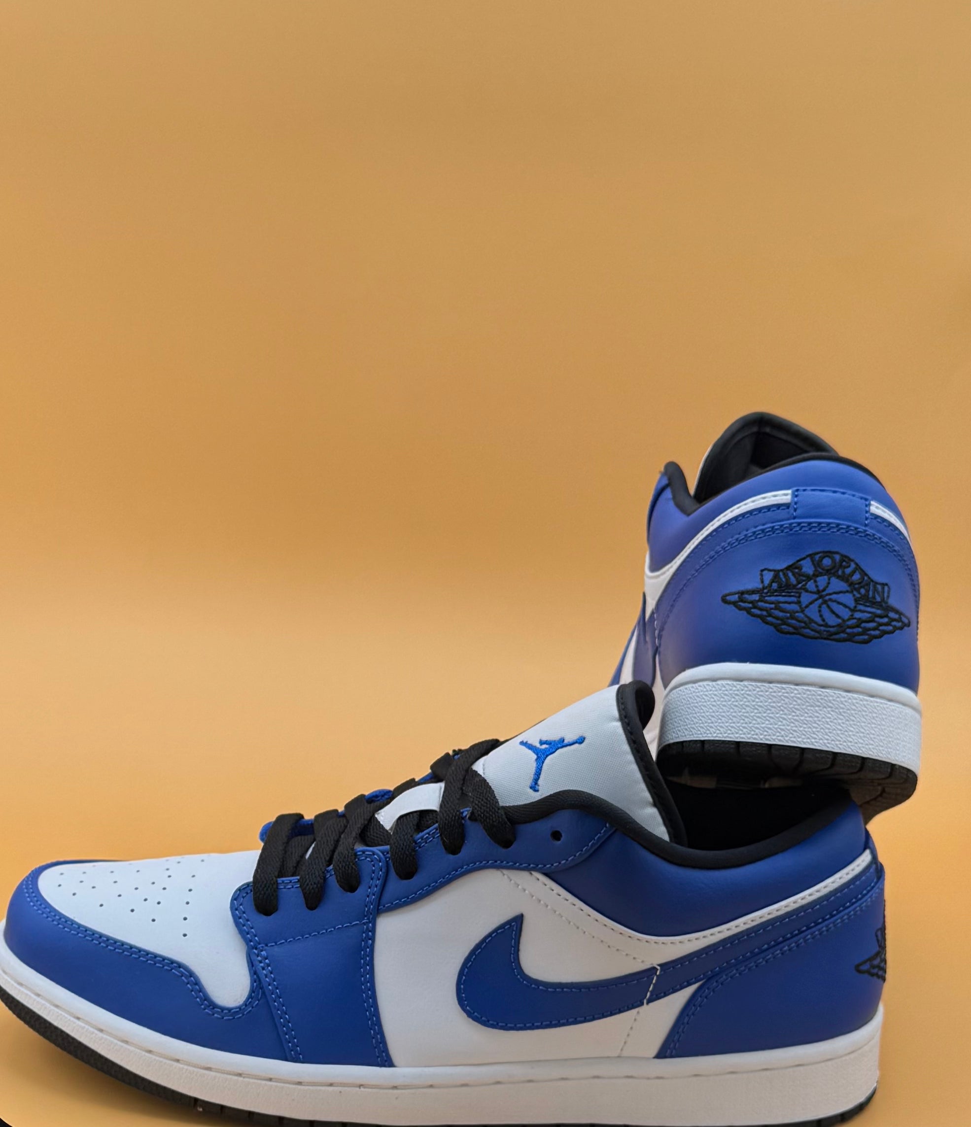 Nike Dunk Low Retro Race Blue/White