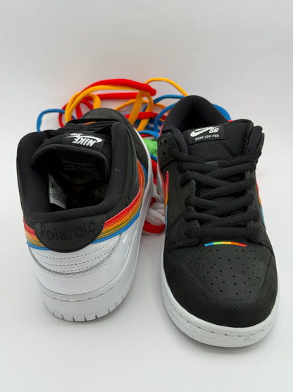 Nike SB Low "Polaroid"