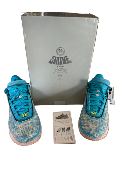 Nike LeBron XX ASW All-Star DS Brand New OGAll