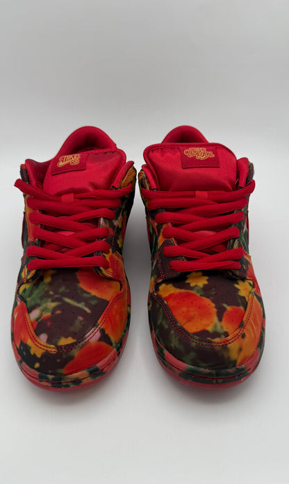 Nike SB Low "Wizard of OZ Poppy Field"