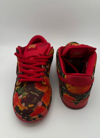 Nike SB Low "Wizard of OZ Poppy Field"