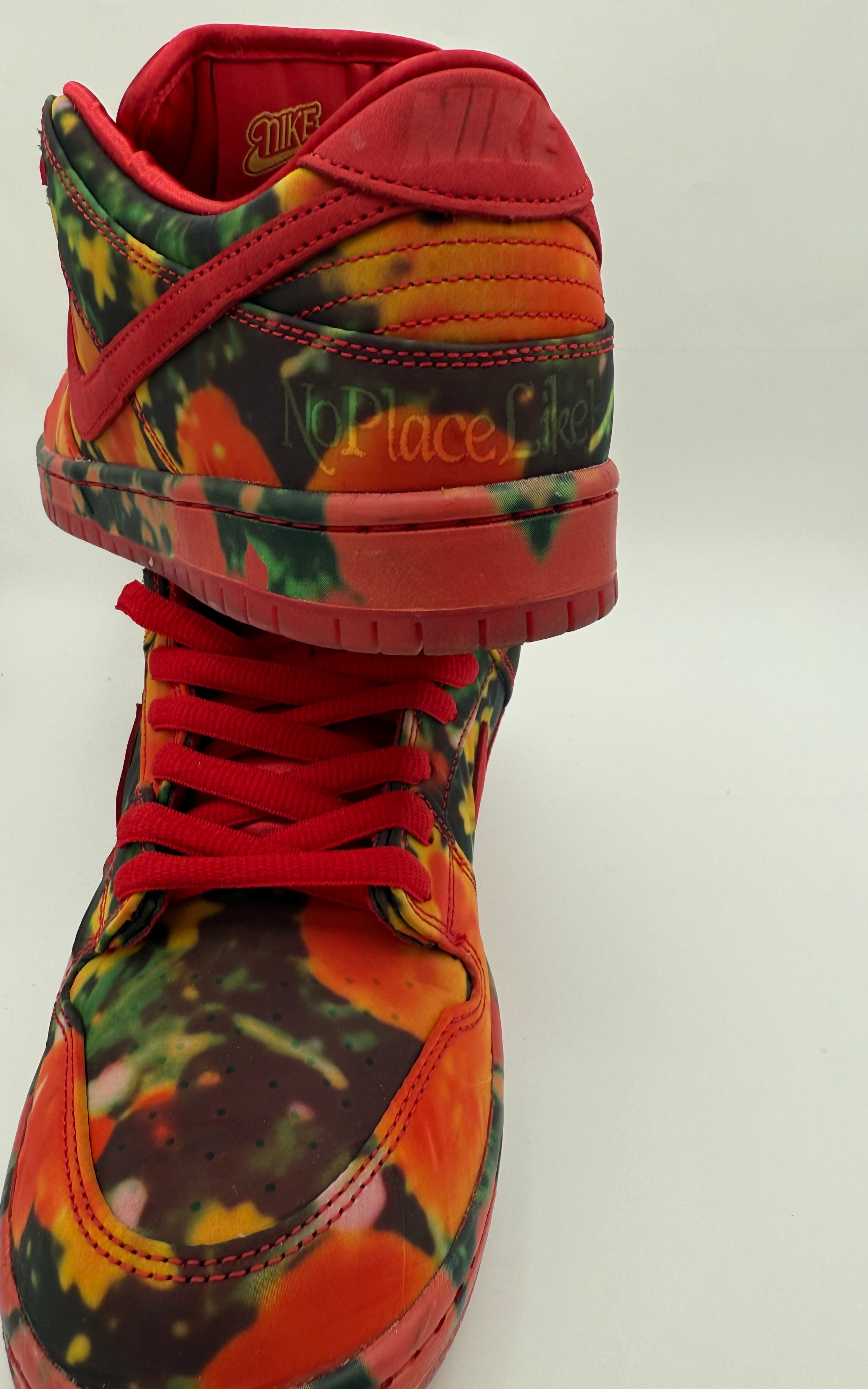 Nike SB Low "Wizard of OZ Poppy Field"